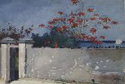 Winslow Homer A Wall,Nassau (mk44) China oil painting reproduction